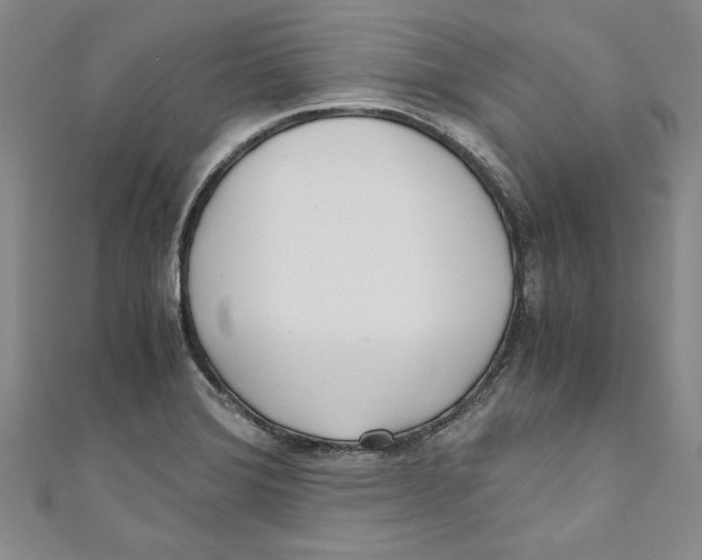 X0000110951372200907171620