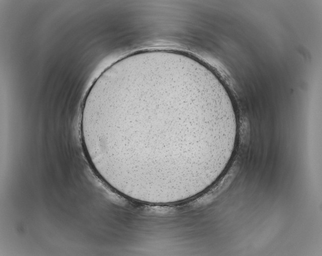 X0000110951374200907171620