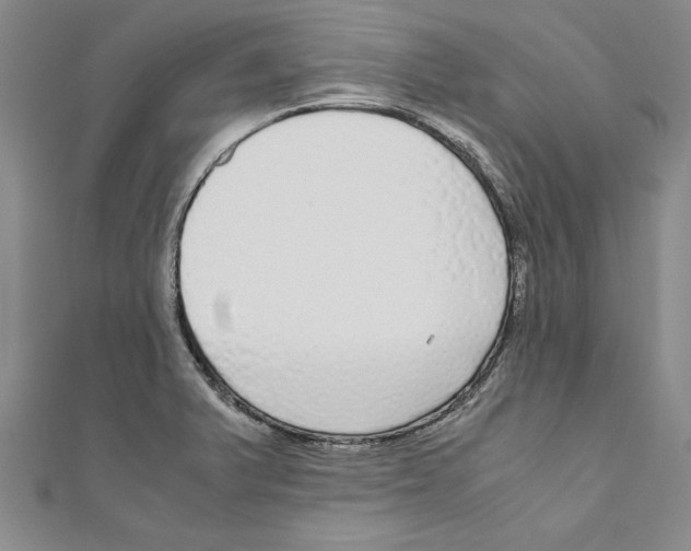 X0000110951375200907171619