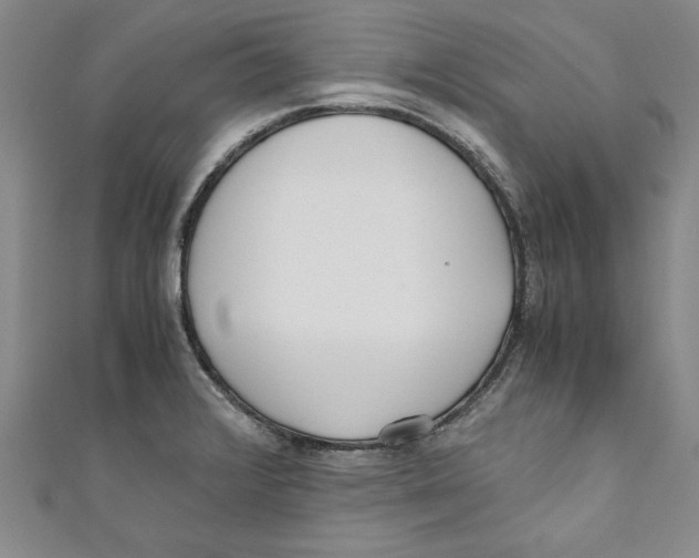 X0000110951376200907171619