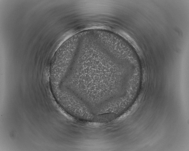 X0000110951377200907171619