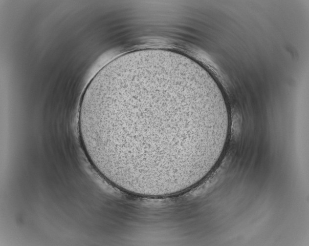 X0000110951378200907171619