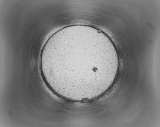 X0000110951379200907171619