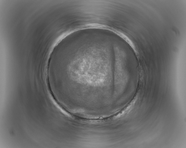 X0000110951381200907171619