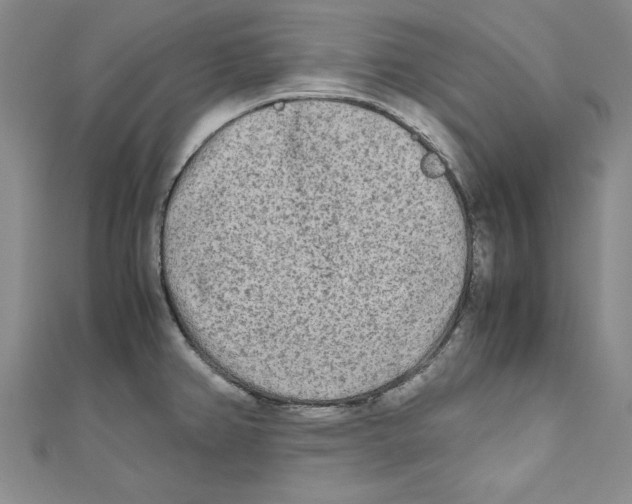 X0000110951382200907171619