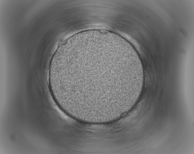 X0000110951383200907171619