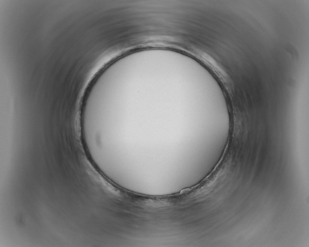 X0000110951384200907171619