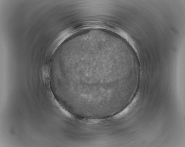 X0000110951385200907171619