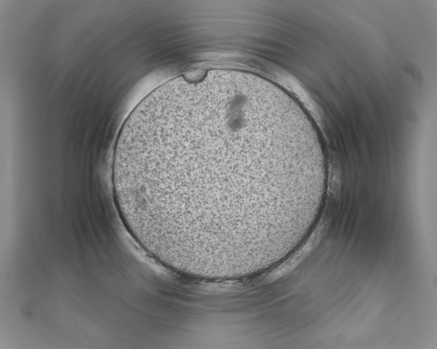 X0000110951386200907171619