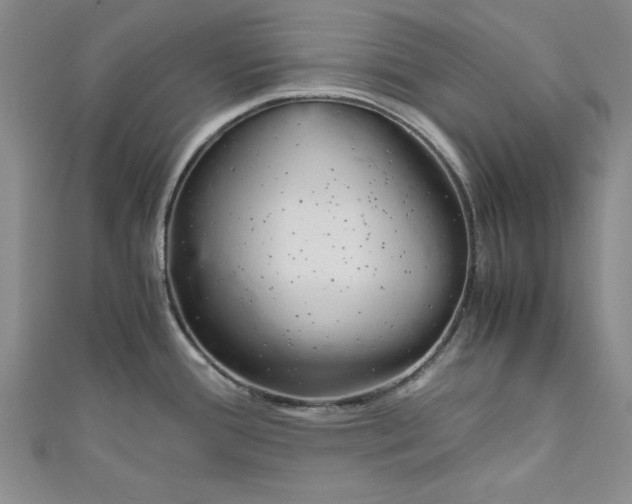 X0000110951388200907171619