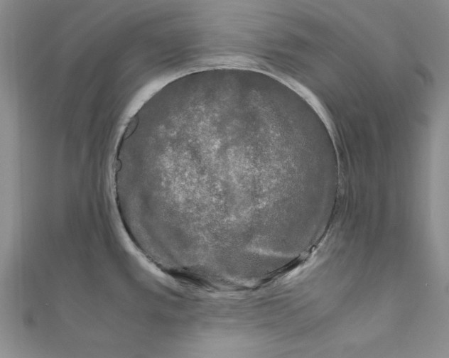 X0000110951389200907171619