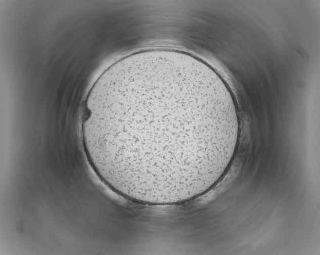 X0000110951390200907171619