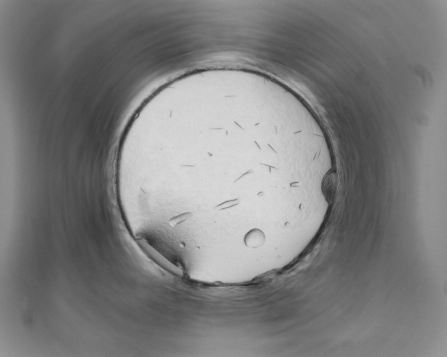 X0000110951392200907171619