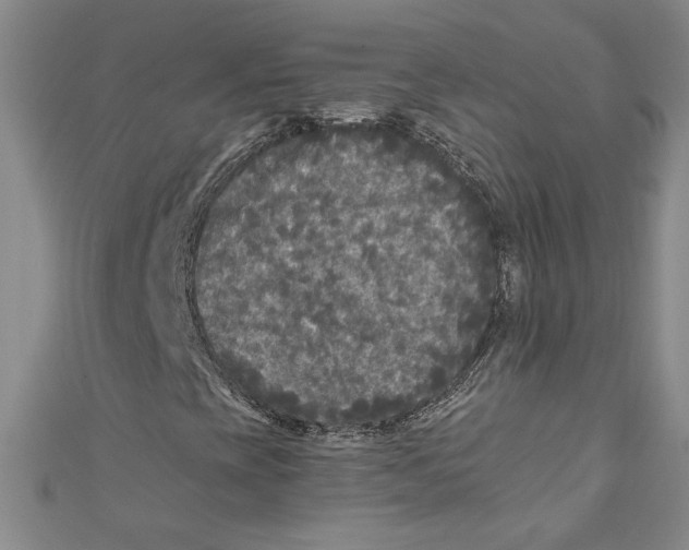 X0000110951393200907171618
