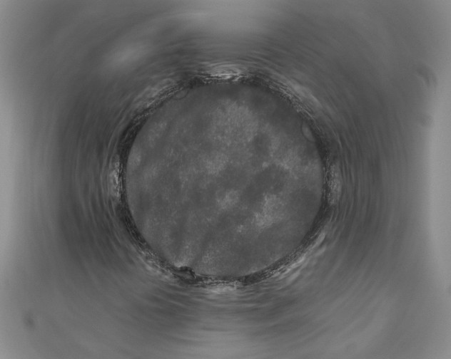 X0000110951394200907171619