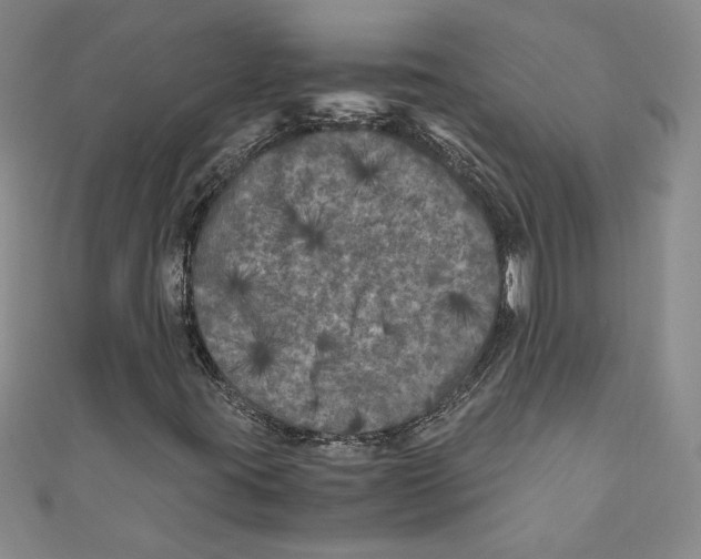 X0000110951395200907171619