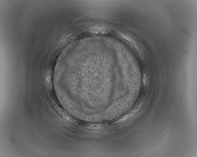 X0000110951396200907171619