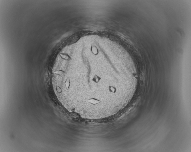 X0000110951398200907171619