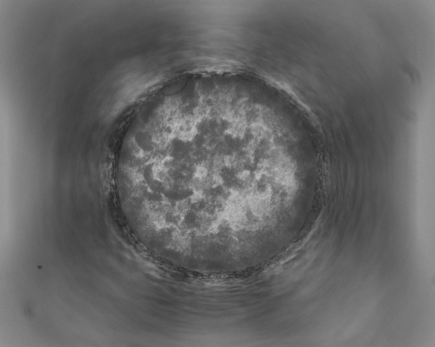 X0000110951399200907171619