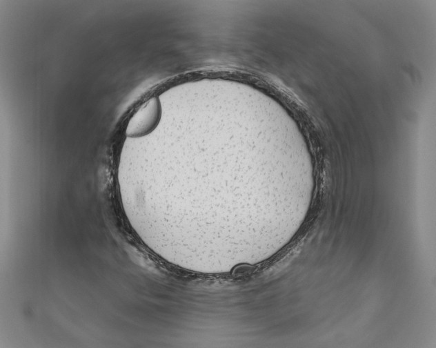 X0000110951400200907171619