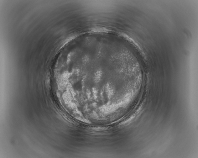 X0000110951401200907171619