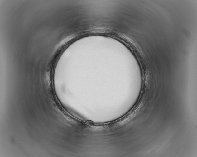 X0000110951402200907171619