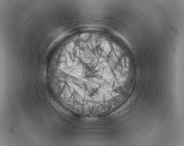 X0000110951403200907171619