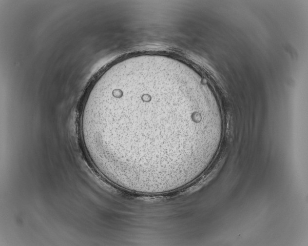 X0000110951404200907171619