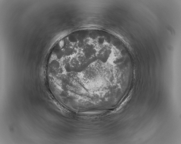 X0000110951405200907171619