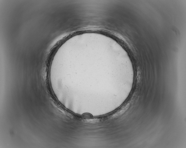 X0000110951406200907171619