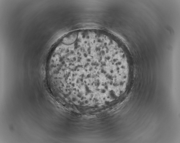 X0000110951407200907171619