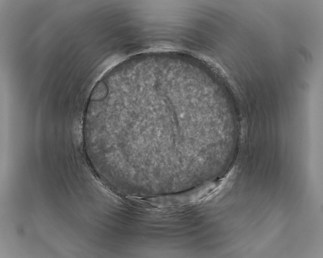 X0000110951409200907171619