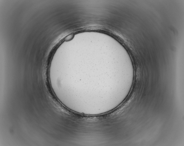 X0000110951410200907171619