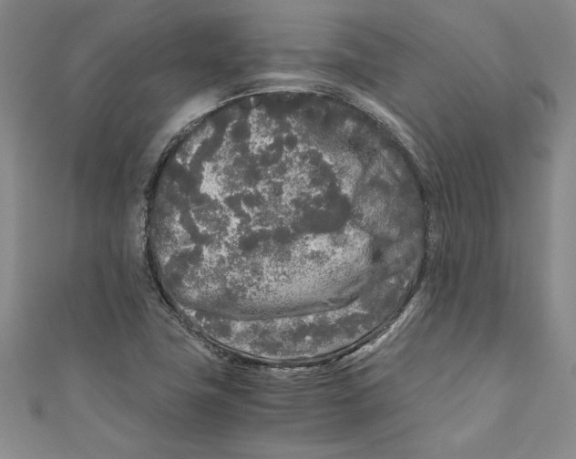 X0000110951411200907171619