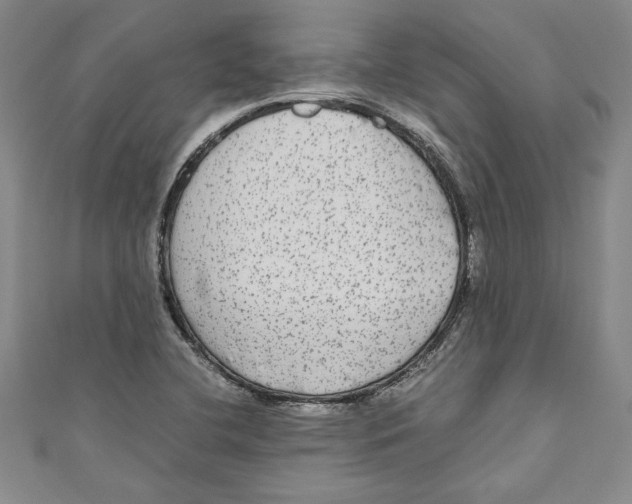 X0000110951412200907171619