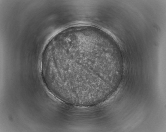 X0000110951413200907171619