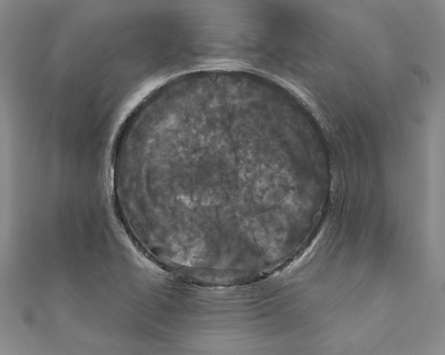 X0000110951414200907171619