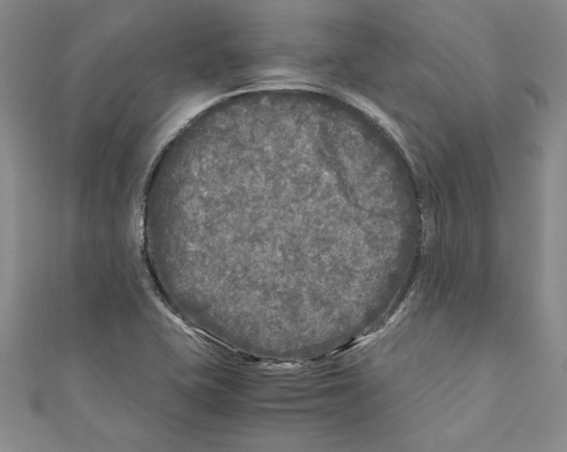 X0000110951415200907171619
