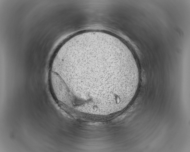 X0000110951416200907171619