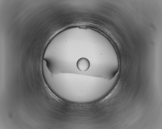X0000110951417200907171619
