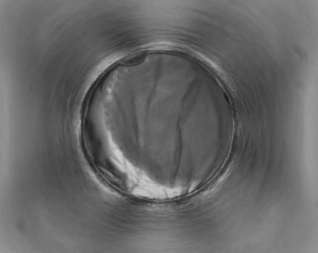 X0000110951418200907171619