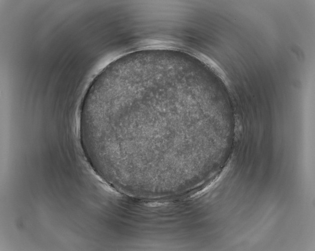 X0000110951419200907171619