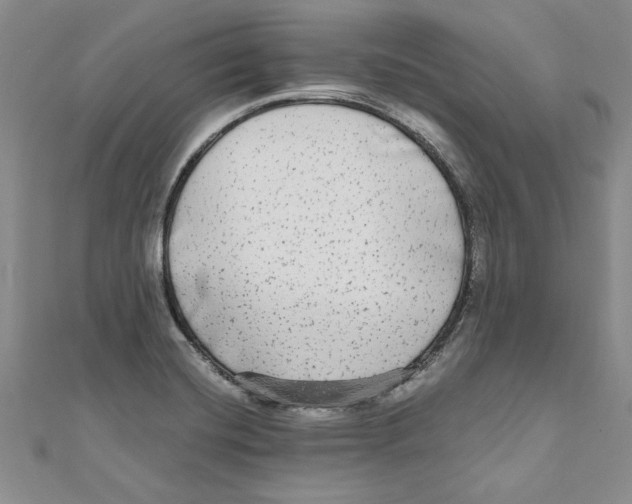X0000110951420200907171619