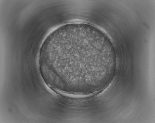 X0000110951421200907171619