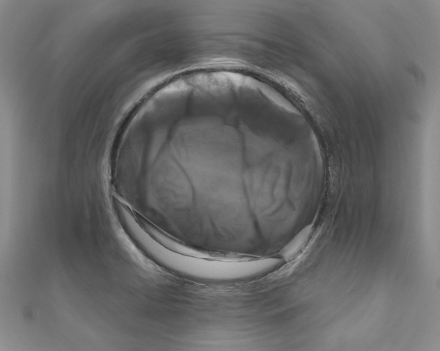 X0000110951422200907171619