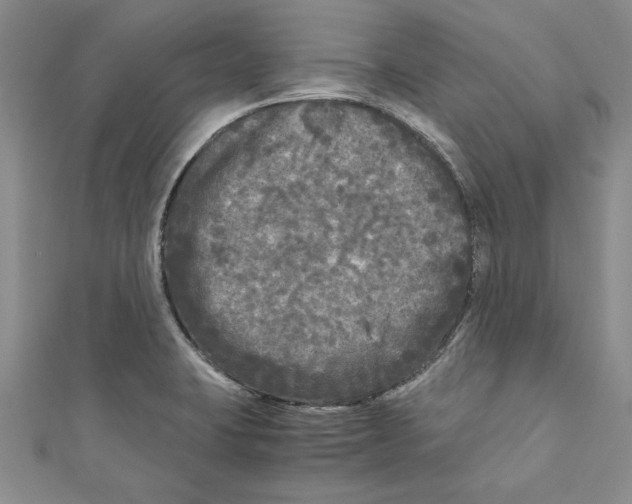 X0000110951423200907171619