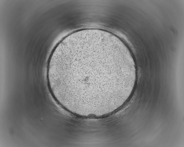 X0000110951424200907171619