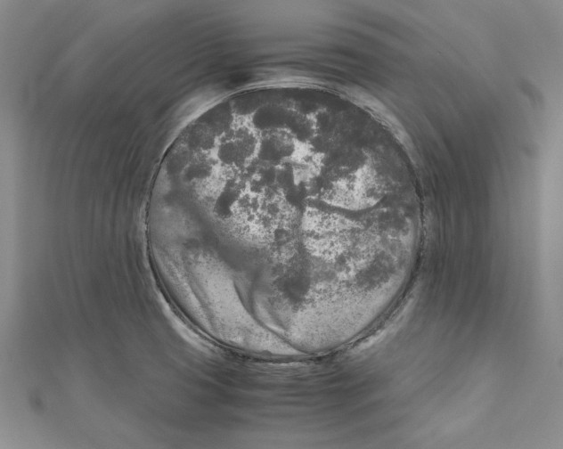 X0000110951425200907171619