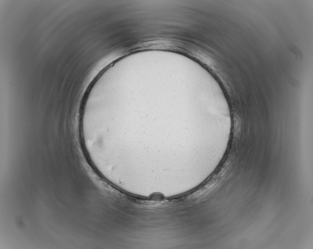 X0000110951426200907171619