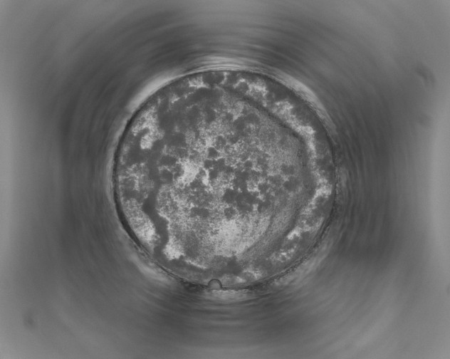 X0000110951427200907171619